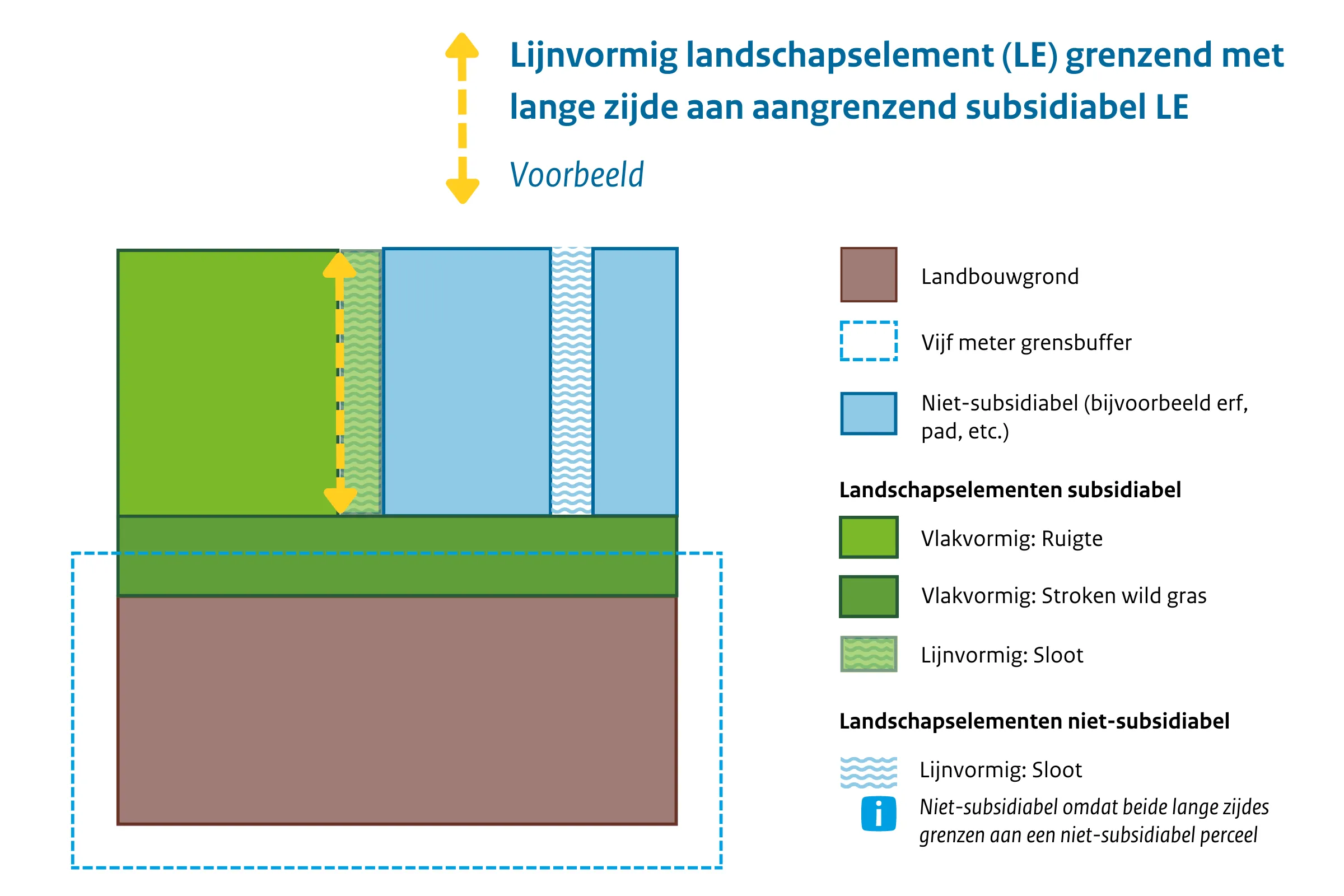 Lijnvormig LE grenst aan lange zijde aan vlakvormig LE