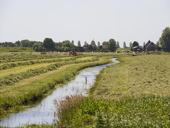 Sloot zonder talud, grens landbouwperceel op waterlijn